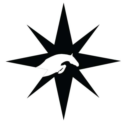 Stellar Equestrian